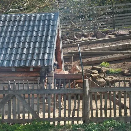 Ferienhaus Dreimühlenhof